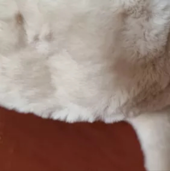 NEW! Warm Hat.One size fits most.Cold weather hat. winter warm ski hat with ear - Picture 3 of 7